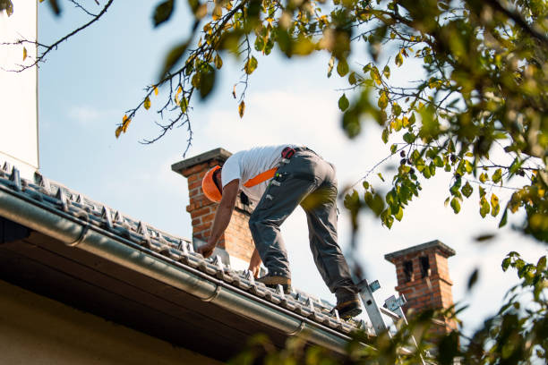 Roof Gutter Cleaning in Kronenwetter, WI